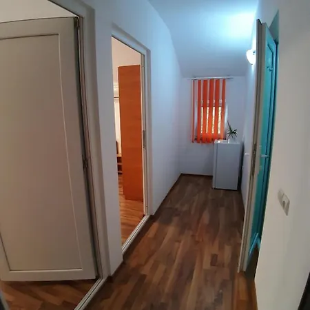 Casa Ara 3* コスティネシュティ