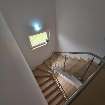 ゲストハウス Casa Ara コスティネシュティ