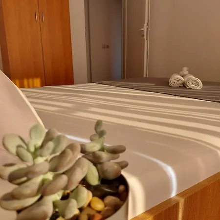 Casa Ara 3* コスティネシュティ