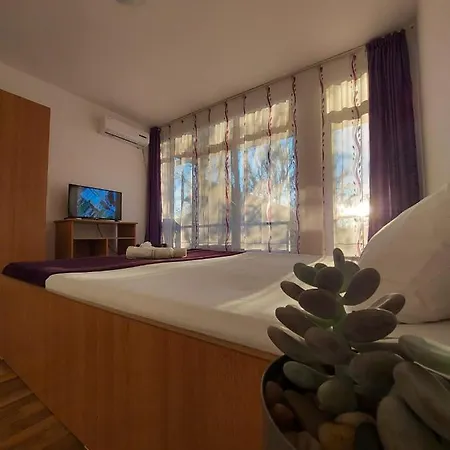 Casa Ara ゲストハウス