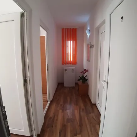 Casa Ara コスティネシュティ