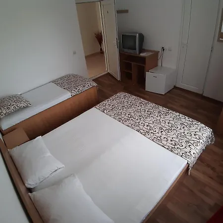 Casa Ara Гостевой дом Костинешти